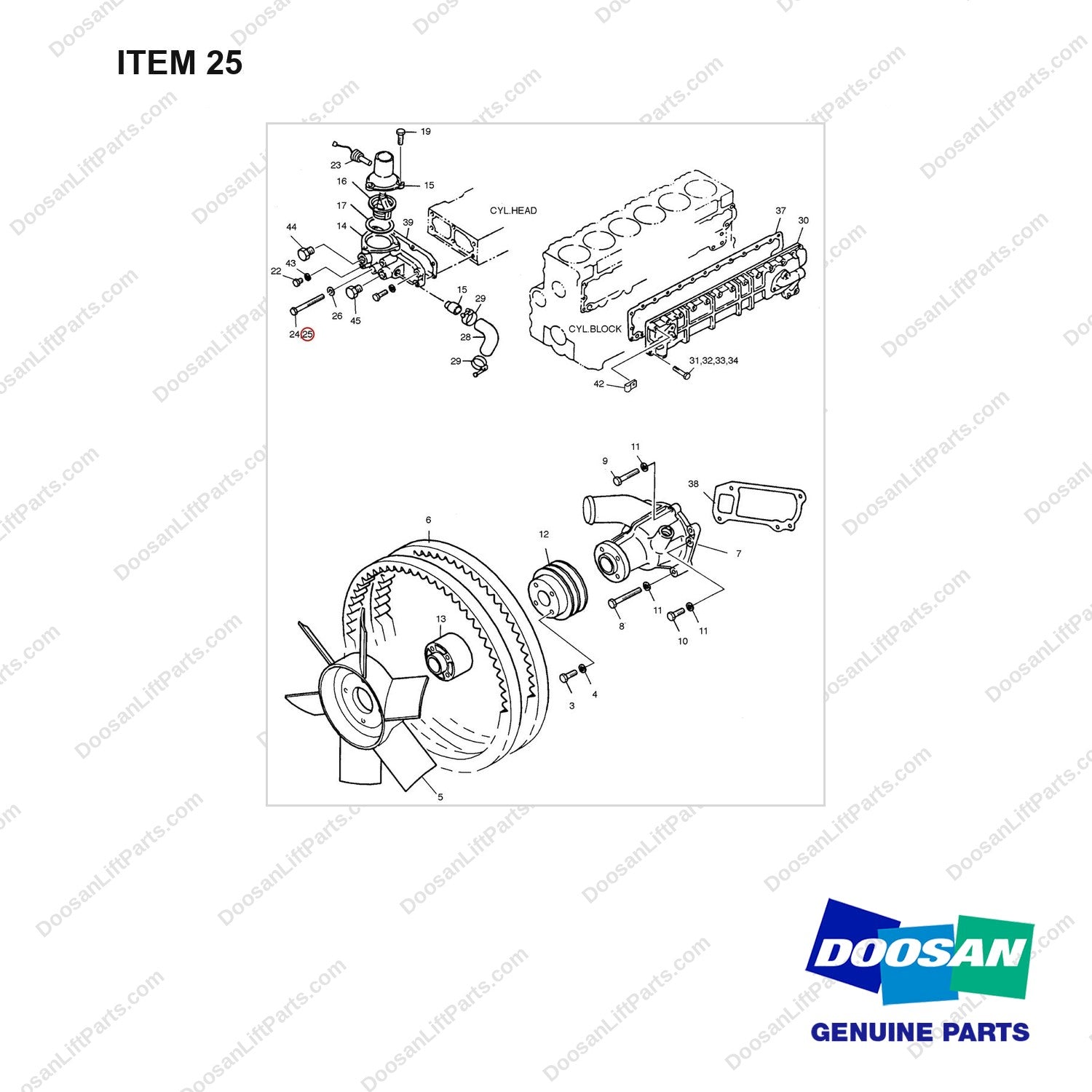 06.01493-4216 COOLING WATER PUMP - DISC - full parts diagram, item 25 marked - genuine Doosan / Bobcat forklift part