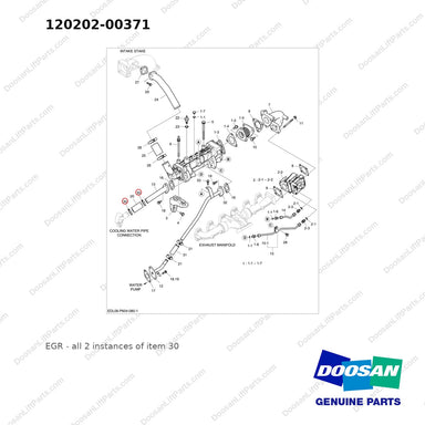 120202-00371 EGR - full parts diagram, item 30 marked - genuine Doosan / Bobcat forklift part