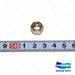 NUT;2.4L_STRAINER - Doosan Forklift Part 120312-00544