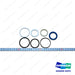 Seal Kit,Oil;reach Cylinder - Doosan Forklift Part 401106-00195