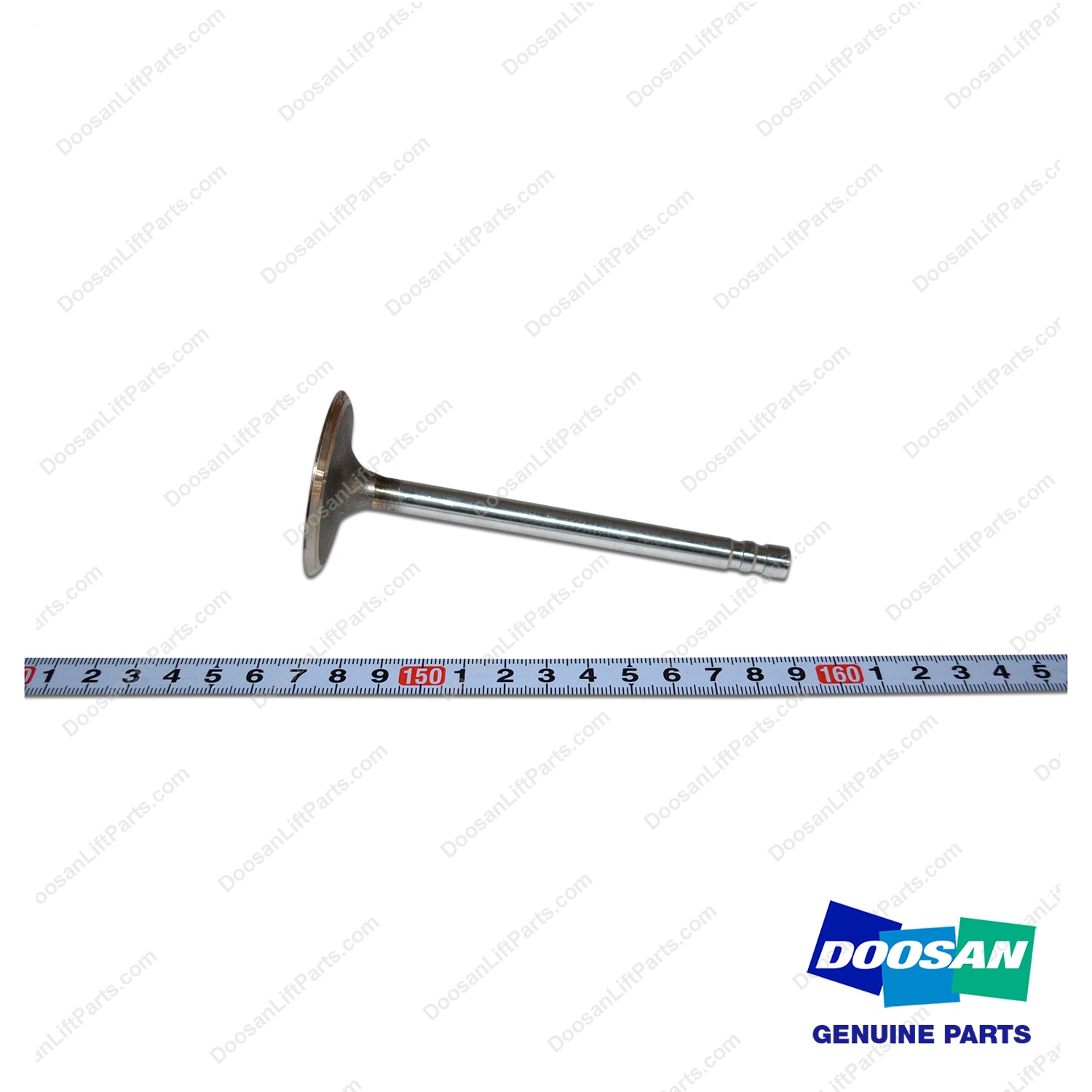 Valve,INTAKE;GM3.0L - Doosan Forklift Part 410112-00045