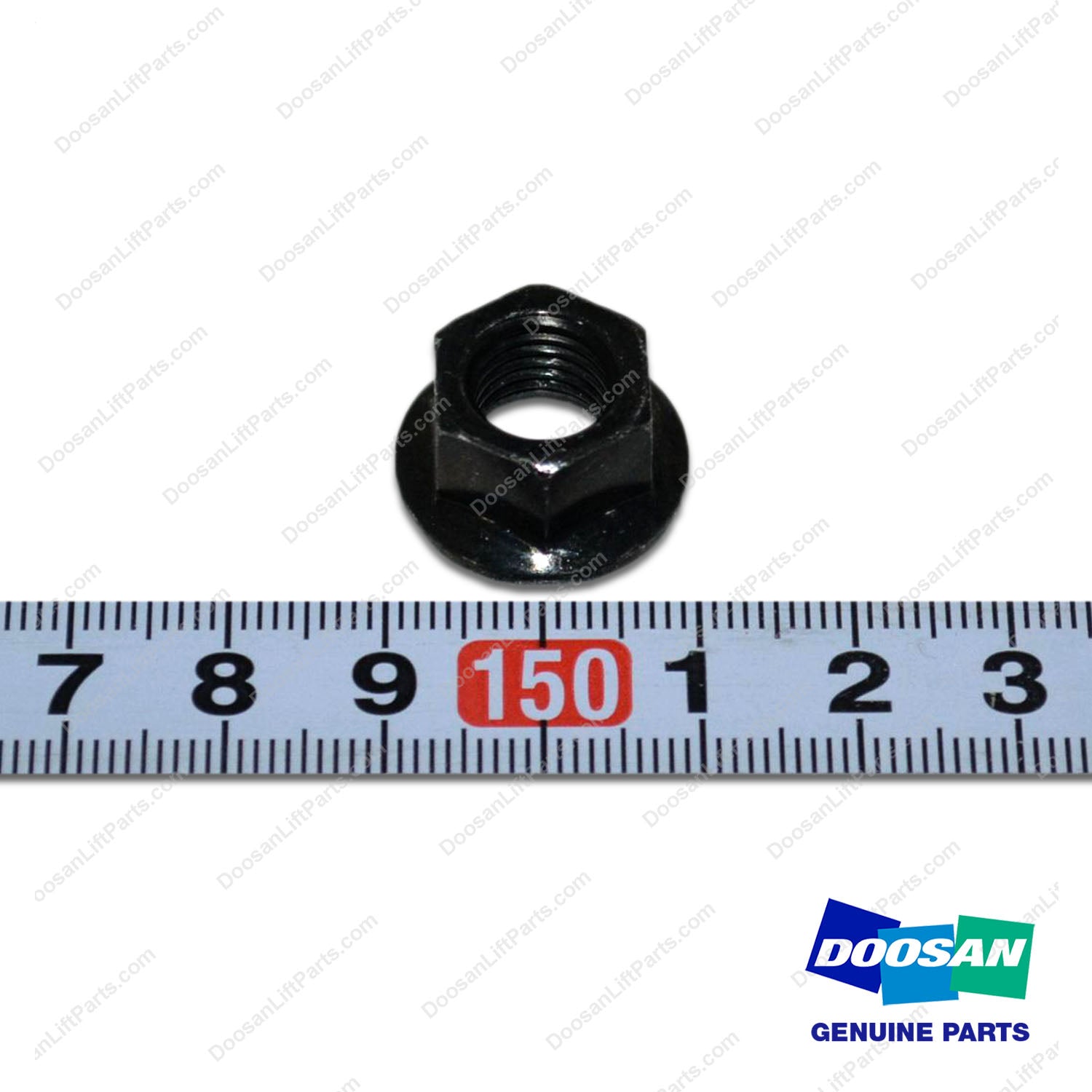 Nut-Timing Belt Train - Doosan Forklift Part A218171