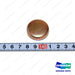 Plug,Expansion - Doosan Forklift Part A293251