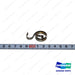 Spring Kit - Doosan Forklift Part D552785