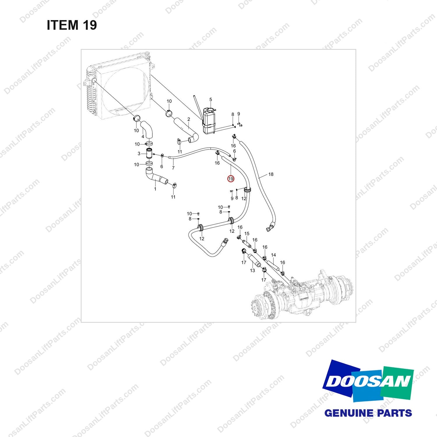 DS2019076 LINE GROUP;COOLANT - full parts diagram, item 19 marked - genuine Doosan / Bobcat forklift part