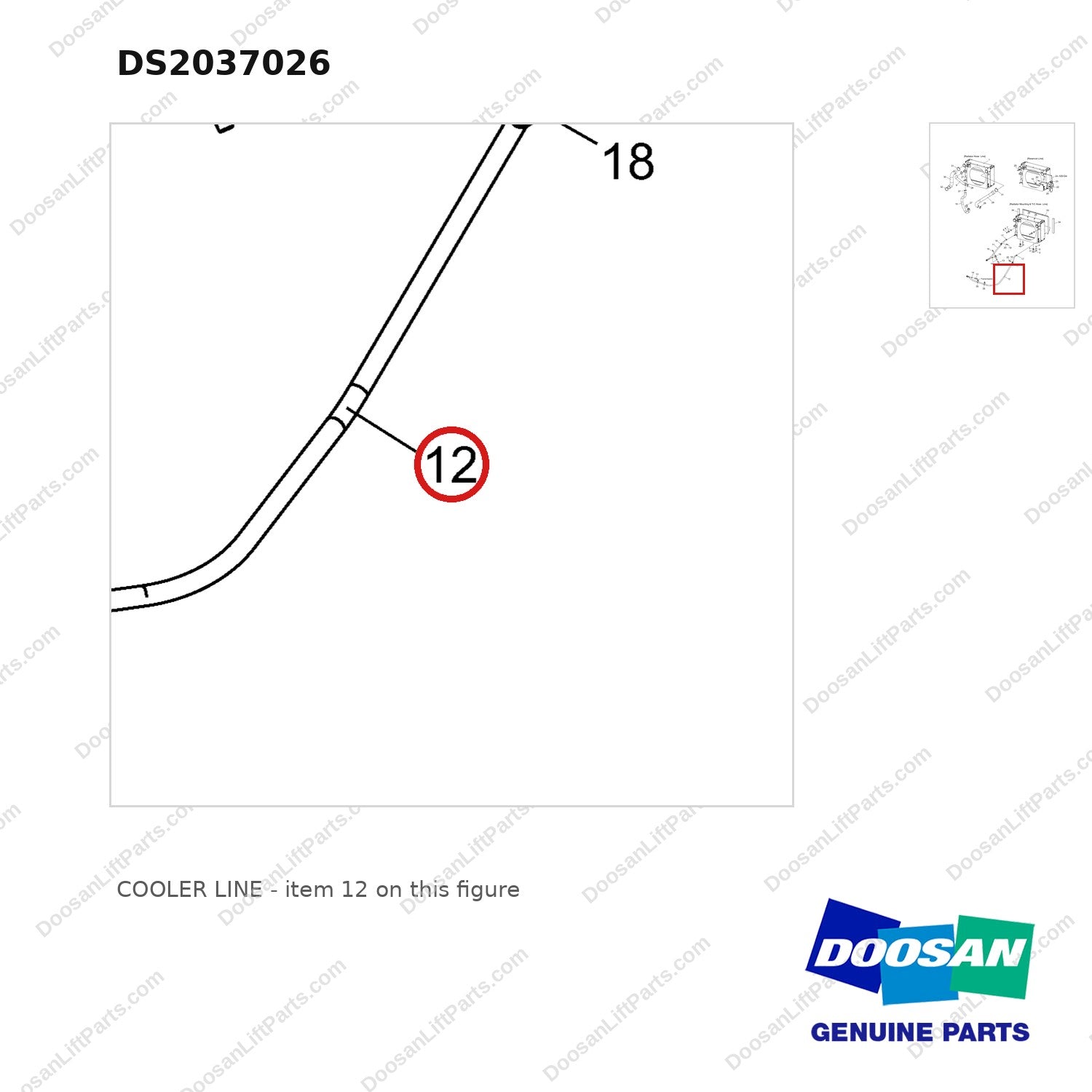 DS2037026 COOLER LINE - parts diagram, item 12 shown - genuine Doosan / Bobcat forklift part