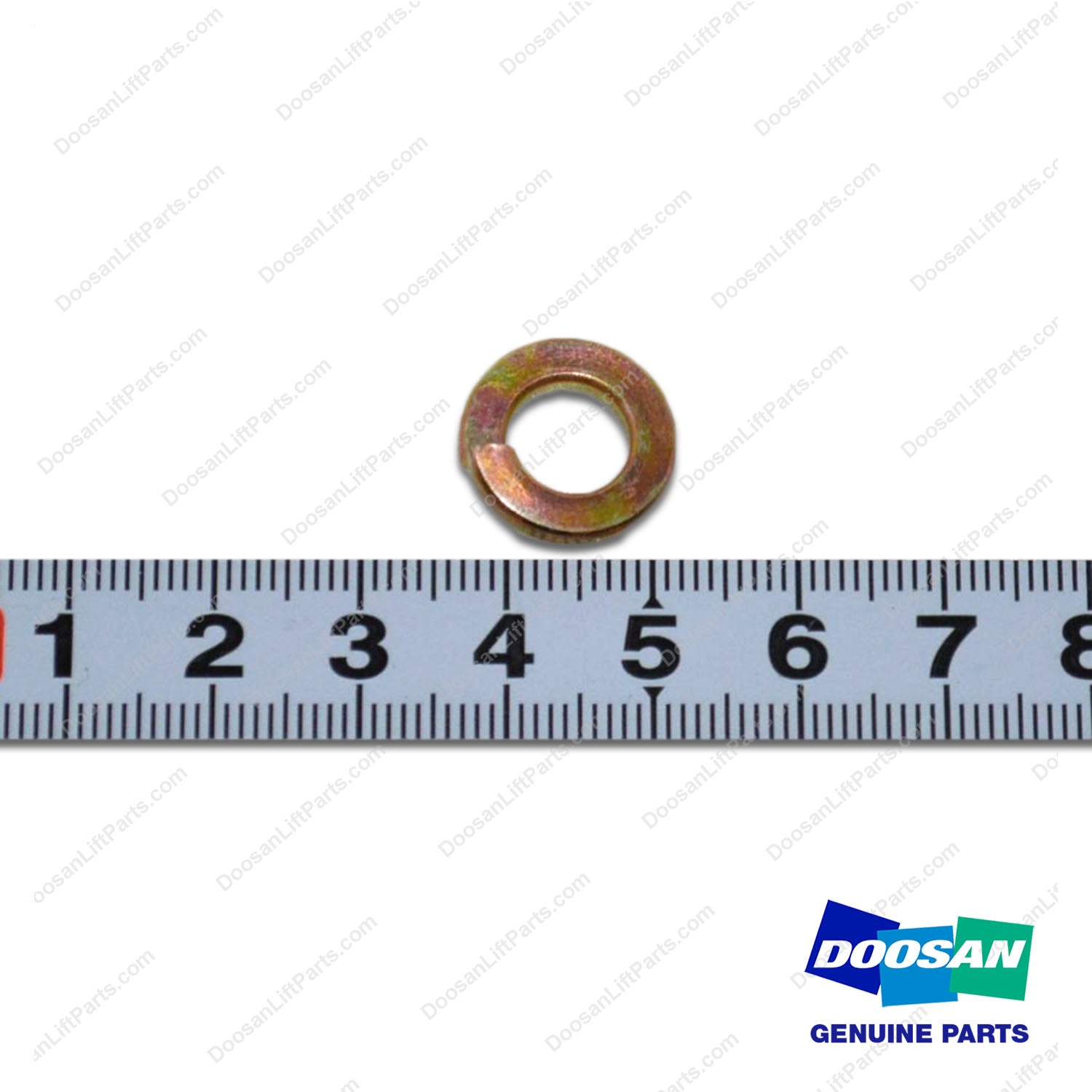 Washer,Spring - Doosan Forklift Part S5102503